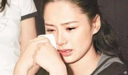 吃瓜明星网红圈道歉视频,揭秘娱乐圈风波背后的真相与反思