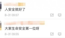 乐山最新爆料新闻视频