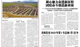 长宏船厂最新爆料新闻报道,揭秘我国船舶制造行业重大进展