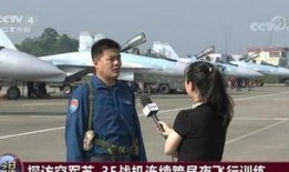 飞行员爆料南极人视频播放,震撼南极奇观幕后真相