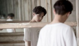 学员爆料张艺兴视频在线,学员爆料背后真相揭秘