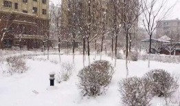 下雪了的爆料视频,揭秘下雪了的神秘爆料视频