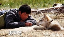 狼图腾在线观看完整版,草原霸主传奇，在线观看完整版