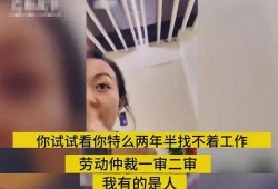 奶企高管爆料视频大全集,揭秘行业内幕与真相