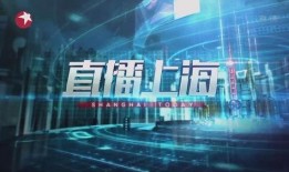 上海电视直播在线观看,上海电视直播在线观看全攻略