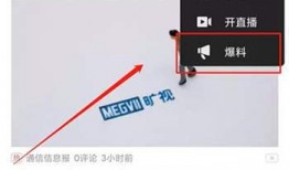 怎么看头条爆料内容视频,视频内容背后的真相解析