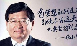 徐小平爆料投资者视频,揭秘投资圈真实面貌