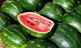 网红吃瓜照片全集大全图片,捕捉娱乐圈最热话题瞬间