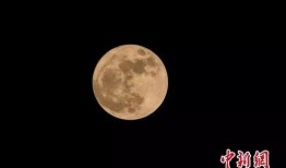 超级月亮新闻爆料,天文爱好者不容错过！