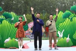 百色新闻最新爆料视频下载,事件真相全解析