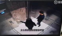 黑客爆料监狱案件视频完整版,黑客曝光震撼视频完整版深度解析