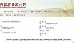 陕西新闻爆料吧