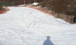 滑雪大神爆料视频,独家爆料视频背后的精彩瞬间