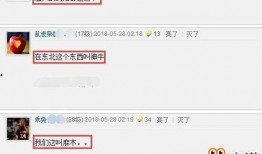 最新载具更新爆料下载,揭秘最新载具更新爆料亮点