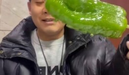 吃瓜事件东南亚网红视频,揭秘网络红人的真实生活