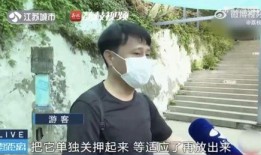 网红吃瓜打架是真的吗,真相揭秘