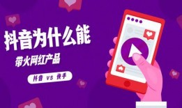 冬至餐饮视频爆料怎么写,揭秘视频爆料中的传统佳肴魅力