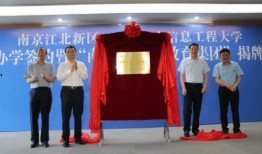 许嵩公司爆料最新消息新闻,最新动态揭秘，精彩内容即将揭晓！