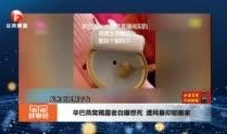 高管家暴爆料者视频大全,揭露黑暗背后的真相