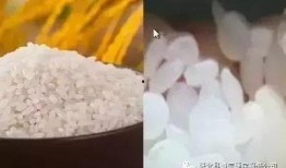 大米加工爆料方法视频讲解,视频详解加工全过程