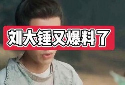 刘大锤最新爆料檀键次,檀键次背后的惊人真相