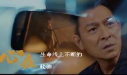 冯小刚爆料刘若英视频在线观看,独家爆料引网友热议