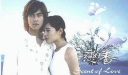 恋香电视剧在线观看,穿越时空的浪漫邂逅