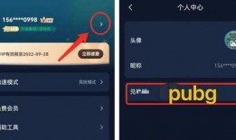 pubgm手游最新爆料,全新玩法与角色，带你领略战场新境界