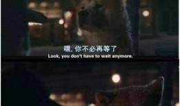 忠犬无言电影在线观看,忠诚守护，生死相依