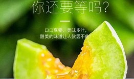 网红吃瓜照片全集大全图片,捕捉娱乐圈最热话题瞬间