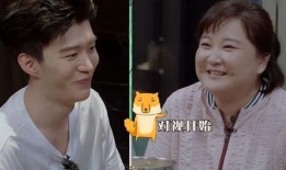 网友爆料贾玲视频大全下载,贾玲视频大全下载，海量精彩瞬间尽收眼底