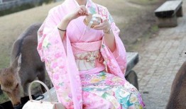 吃瓜群免费聊天记录下载,免费聊天记录背后的欢乐与秘密