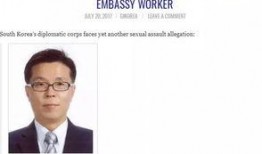 韩国外交官爆料新闻视频,揭秘新闻视频背后的真相