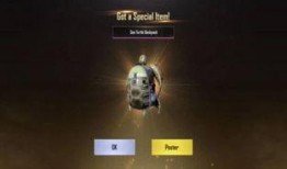 最新爆料和平精英军需,神秘爆料揭示全新战装与道具！