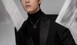 肖战爆料最新消息,揭秘娱乐圈背后的惊人真相！