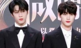 文鑫互相爆料视频,揭秘娱乐圈背后的真相与秘密