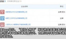 热点爆料杨哥视频播放下载,揭秘热门爆料背后的精彩瞬间