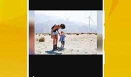 牛道爆料视频完整版下载,揭秘幕后真相，深度解析事件始末