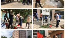 龙湖新溪爆料最新消息新闻,揭秘项目进展与周边动态