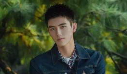 陈飞宇赵丽颖最新爆料,揭秘甜蜜恋情背后的故事