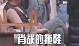 娱乐圈内部人员吃瓜视频,吃瓜视频背后的真实故事