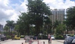 惠阳淡水爆料案件最新情况,案情揭秘，疑云逐步揭开