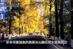 娱乐吃瓜君别墅,揭秘隐藏在豪宅背后的奢华生活