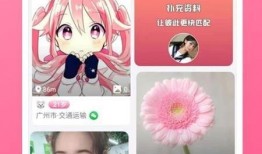 热点爆料婚庆视频下载软件,一键获取甜蜜瞬间