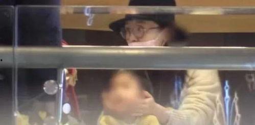 娱乐圈耽改吃瓜